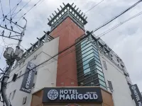 Hotel Marigold Hotels in Інчхон