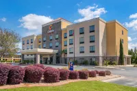 Comfort Suites Byron Warner Robins - Pools