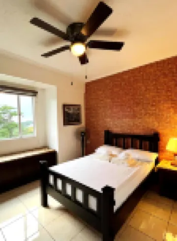 Cozy 1 Br Unit  Condo Near Wright Park, Wifi and Parking