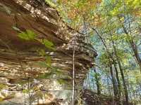 Cozy Mountain Cabin near Red River Gorge, Hollerwood and more! Pet Friendly