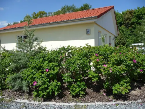 family-friendly, comfortable accommodation, 2 terraces, 200 m to the beach Hotels in Neustadt in Holstein