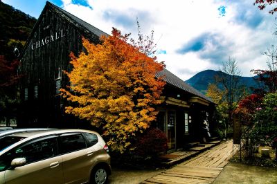 施設外観 和モダンな温泉旅館 湯布院らんぷの宿の写真