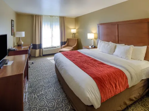 Spark by Hilton Brunswick