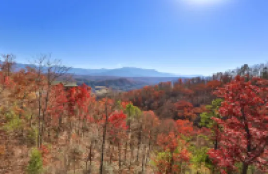 Howling Wolf - One Bedroom Cabin