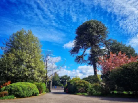 The Pines Guest House Hôtels à : Elgin