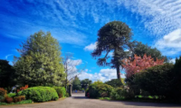 The Pines Guest House