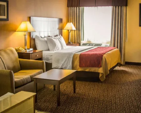 Quality Inn & Suites Hotels in St. Clair County