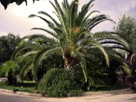 Il Gallo Отели рядом с достопримечательностью «Ex Villa De Martino»