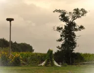 Peaceful Chalet Close to Norg Hotels in Ooststellingwerf