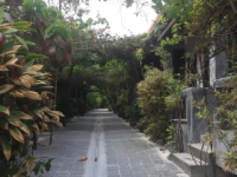 ลักกี้มาเธอร์บังกะโล โรงแรมในเกาะสมุย