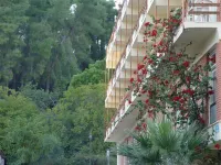 Neda Hotel - Bjergudsigt