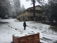 Near Yosemite! Game room with ping pong and billiards!  Shared community pool!