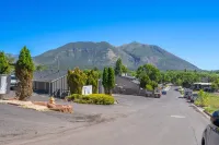 NEW! Hot Tub I Game Room I Arcade w/ 10k+ Games I Walkable to Great Hikes I NAU