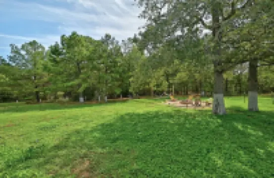 Gaviota Home in The Lost Pines