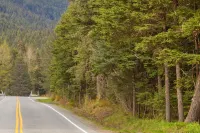 Cozy condo with great downtown location near biking, shopping, dining Hôtels à : Girdwood