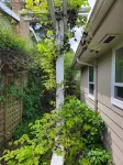 Hot Tub and BBQ Surrounded by Nature - Charming Scenic Escape Các khách sạn gần Link Light Rail - Tukwila Station