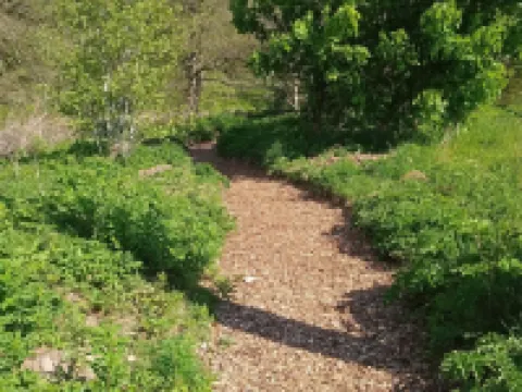 フォレスターシート グランピング フォーファーのホテル