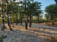 Acacia Camping - 2つ星