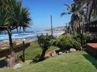 Southern Comfort - Starfish