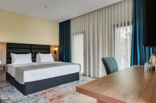 エレブン・イン・トビリシ トビリシ中央モスク周辺のホテル