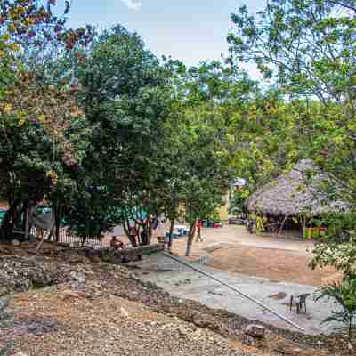 Haleys Paradise at Blue Hole Hotel Exterior