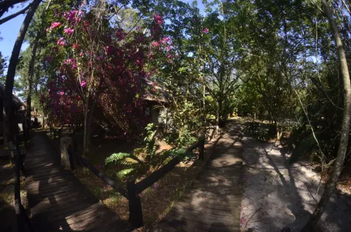 Triton Dive Lodge Hotels in Emangusi