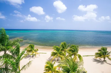 Lawson Rock - Angelfish 203