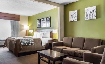 Sleep Inn & Suites Dothan North