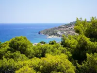 Pefkides Aegina Boutique Apartments Hotels in Agia Marina