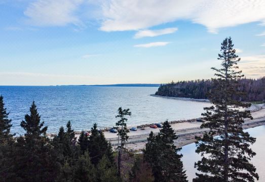 서프사이드 인 내부