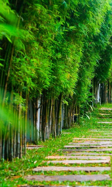 รูปภาพของโรงแรม ปาล์ม โกรฟ รีสอร์ท พัทยา