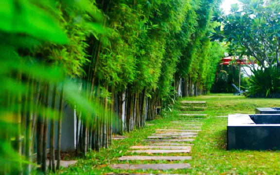 โรงแรม ปาล์ม โกรฟ รีสอร์ท พัทยา