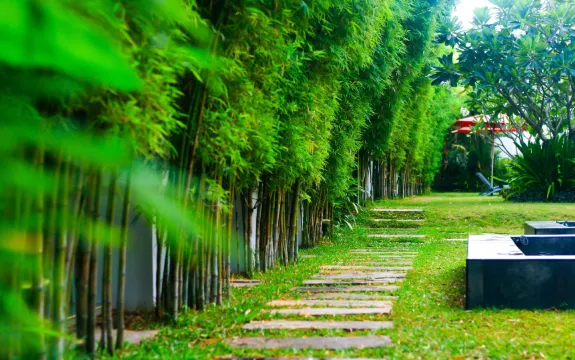 Palm Grove Resort, Pattaya