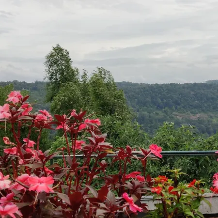 SpiceTree Munnar
