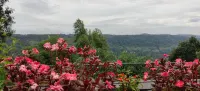 SpiceTree Munnar - Romanttinen