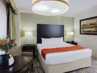 Brent House Hotel Hotels near Harrell Stadium