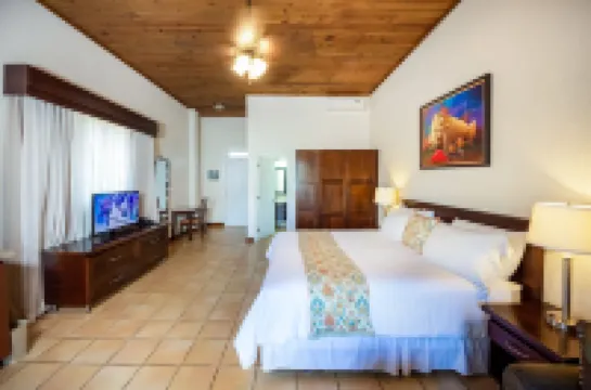 泰雷茲別墅酒店