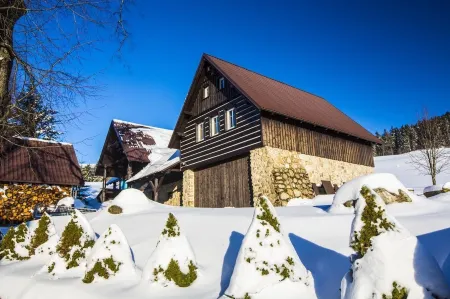 Chata Pod Lipami Отели в г. Jablonec Nad Jizerou