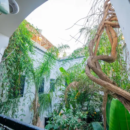 Riad Tibibt