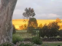 Stone Hut Cottage Hotels in Stone Hut