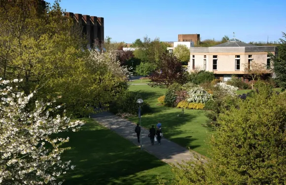 肯特大學泰勒廣場酒店