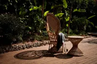 Bikini Island & Mountain Port de Soller "Adults only"