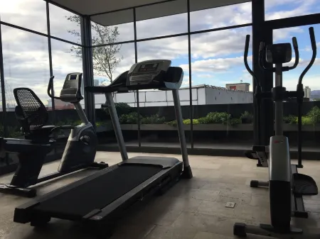 MyPlace at Santo Domingo Отели рядом с достопримечательностью «Музей Института геологии УНАМ»