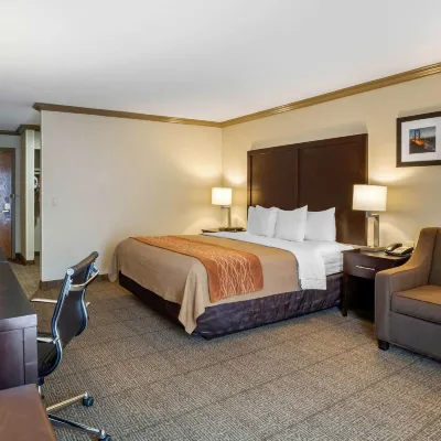 Comfort Inn Castro Valley Hoteles cerca de Zoo de Oakland