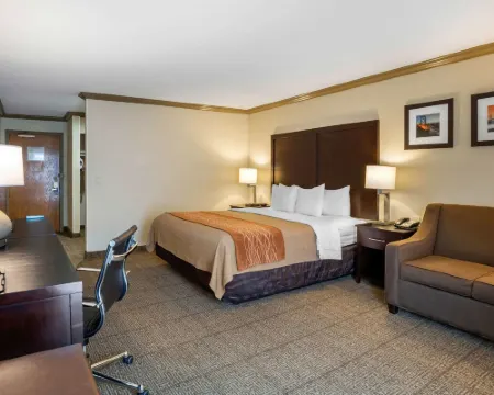 Comfort Inn Castro Valley Hotels in Castro Valley