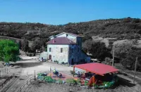 أنتيكا كونكا دورو