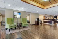 Comfort Inn Herndon-Reston Hotels in Herndon