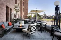 Fairmont Empress Hotel - bar