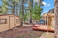 Pines 23 #1438