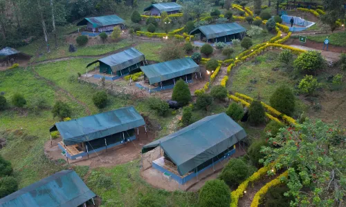 Nature Zone Jungle Resort